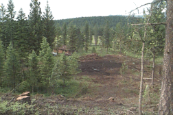 BOBBI24.gif (41100 bytes)