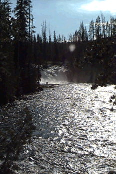 FALLS 6.gif (73641 bytes)
