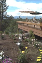 House 3.gif (35952 bytes)