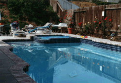 Pool.gif (34311 bytes)