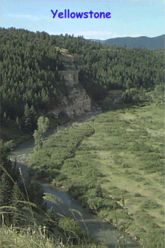 SCENIC 1 BEFORE YELLOWSTONE.gif (71511 bytes)